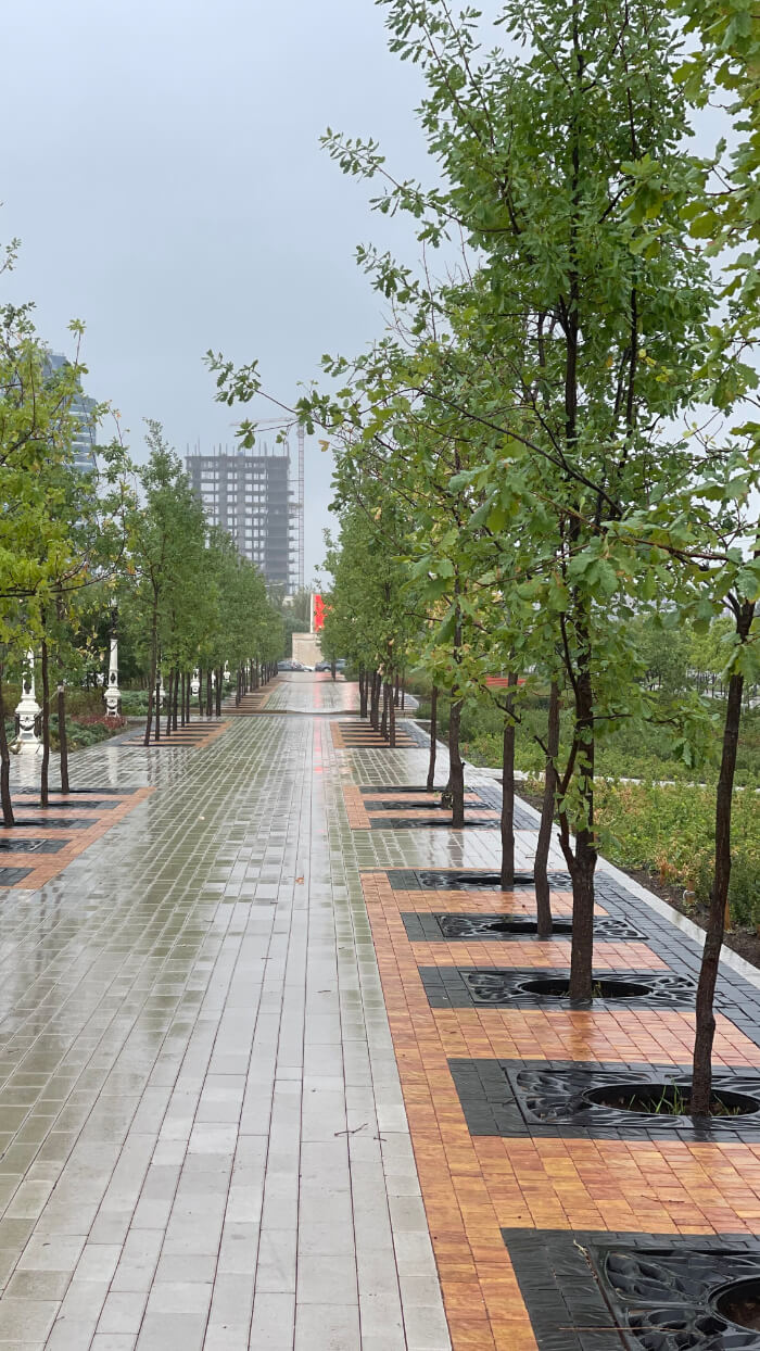 Приствольная решетка для дерева ZKING CRUST 1.2х1.2м Черная в Салехарде фото