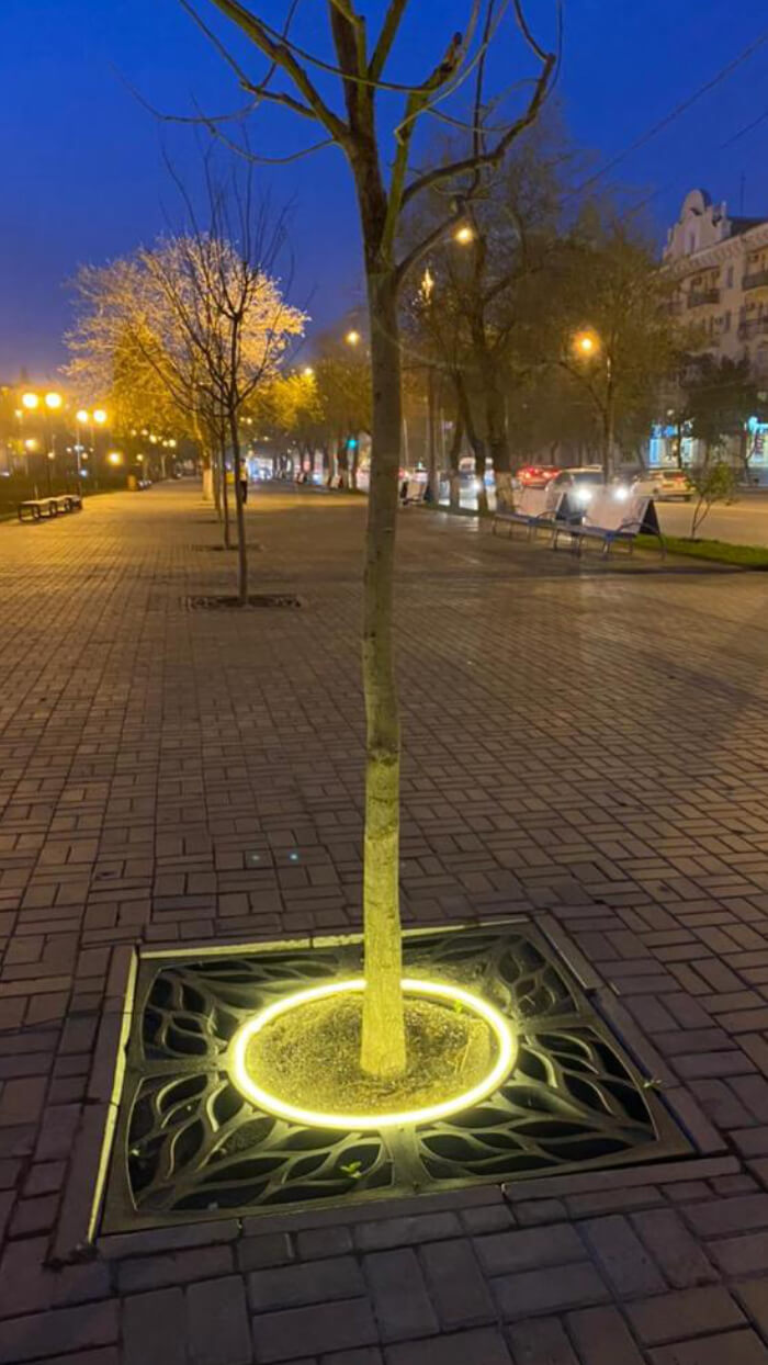 Приствольная решетка для дерева ZKING CRUST 1.2х1.2м Черная в Салехарде фото